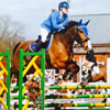 Bartlow Equestrian