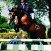 Bartlow Equestrian