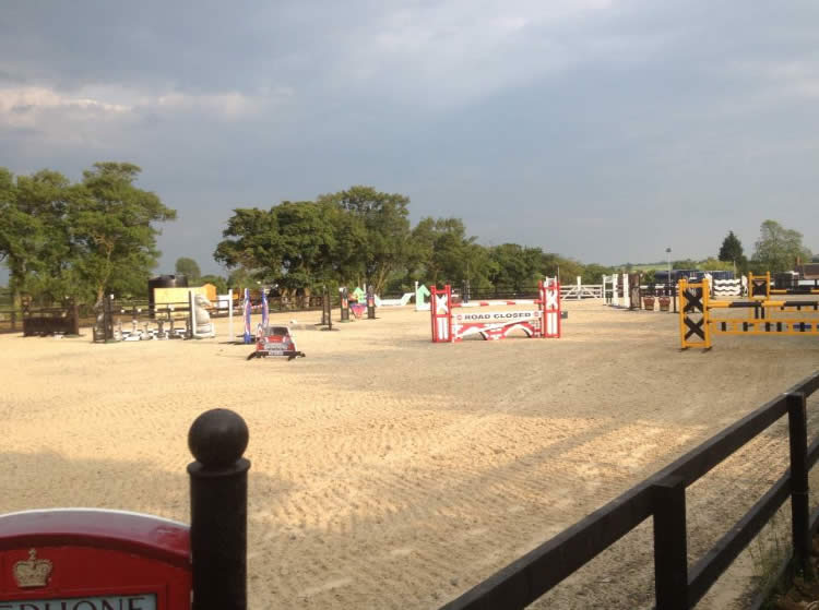 Bartlow Equestrian Horses for Sale