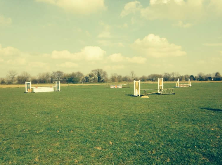 Bartlow Equestrian Horses for Sale