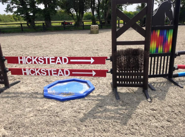 Bartlow Equestrian Horses for Sale