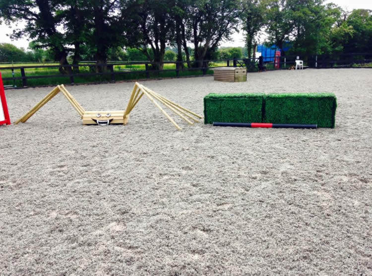 Bartlow Equestrian Horses for Sale