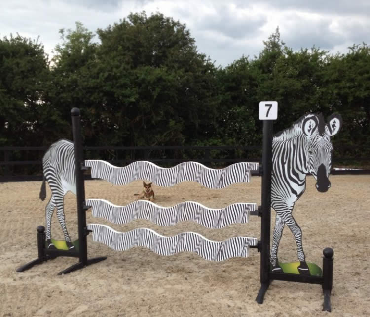 Bartlow Equestrian Horses for Sale